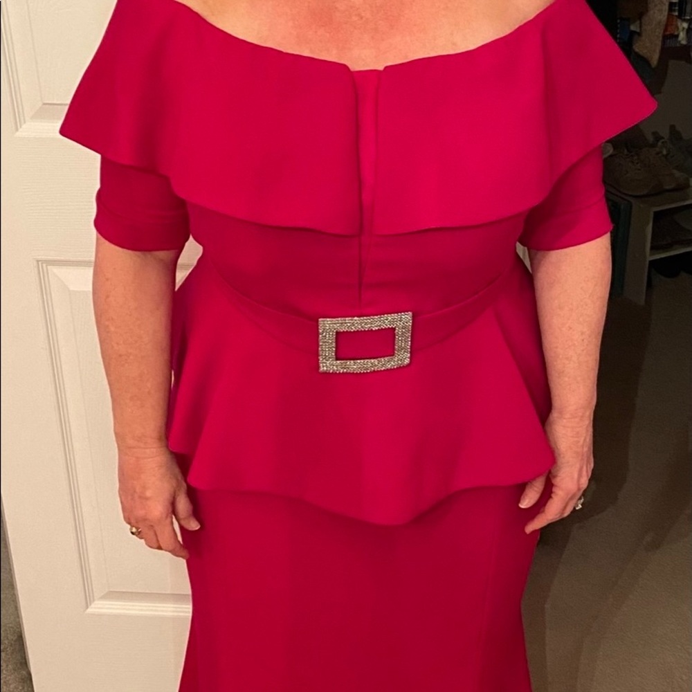 Alexander Daymor evening gown...MOTHER OF THE BRIDE! Worn once! - Picture 2 of 11